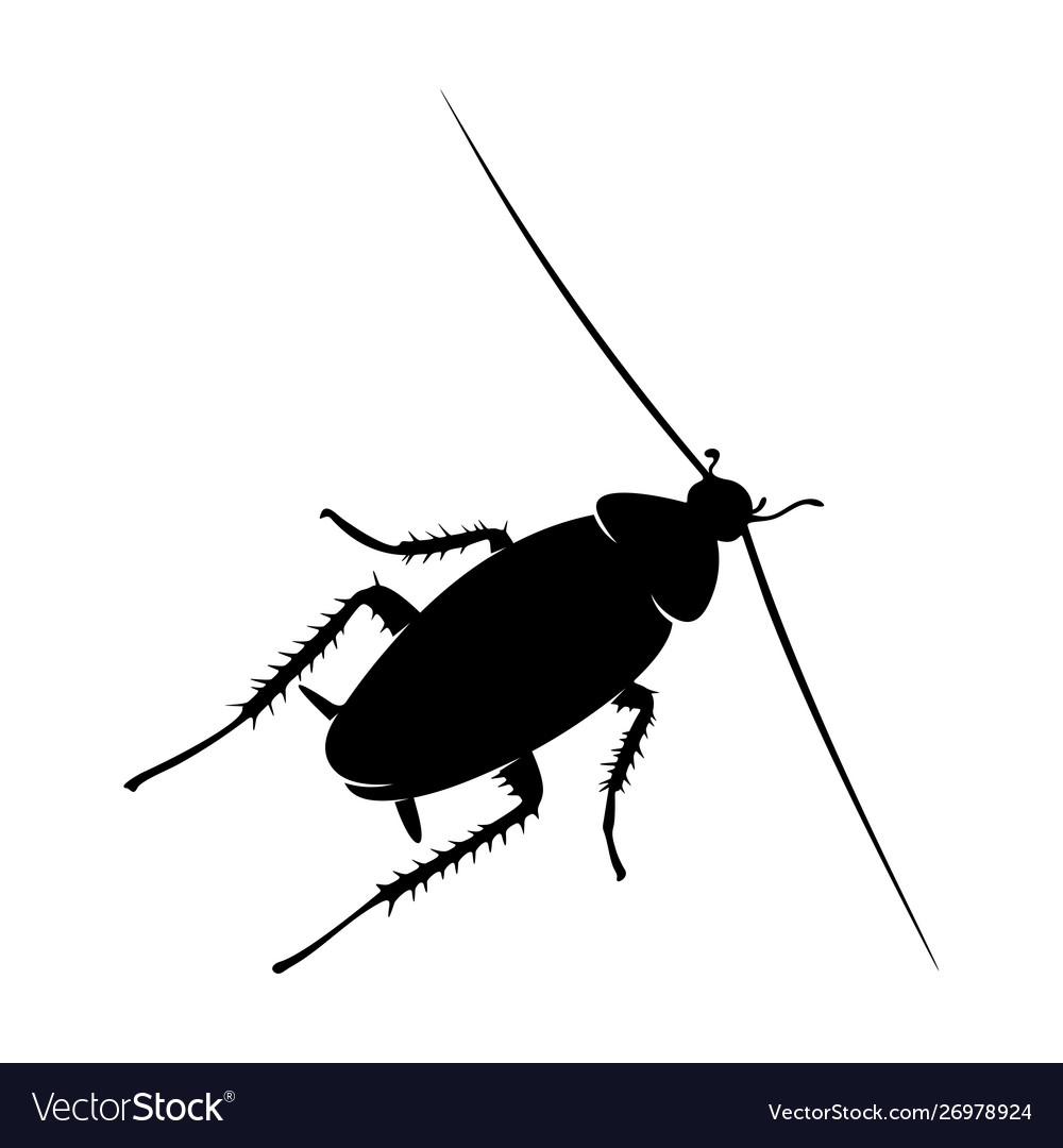 Cockroach Logo Design Template