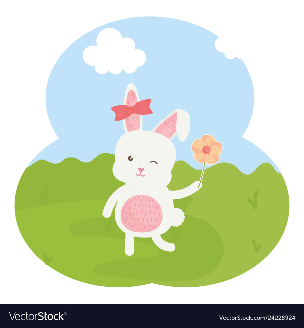 Cute rabbit female in the field