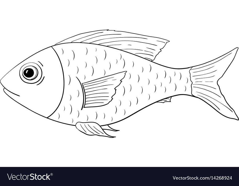 23 Fish Out Line Free Coloring Pages   Fish Outline Doodle Vector 14268924 