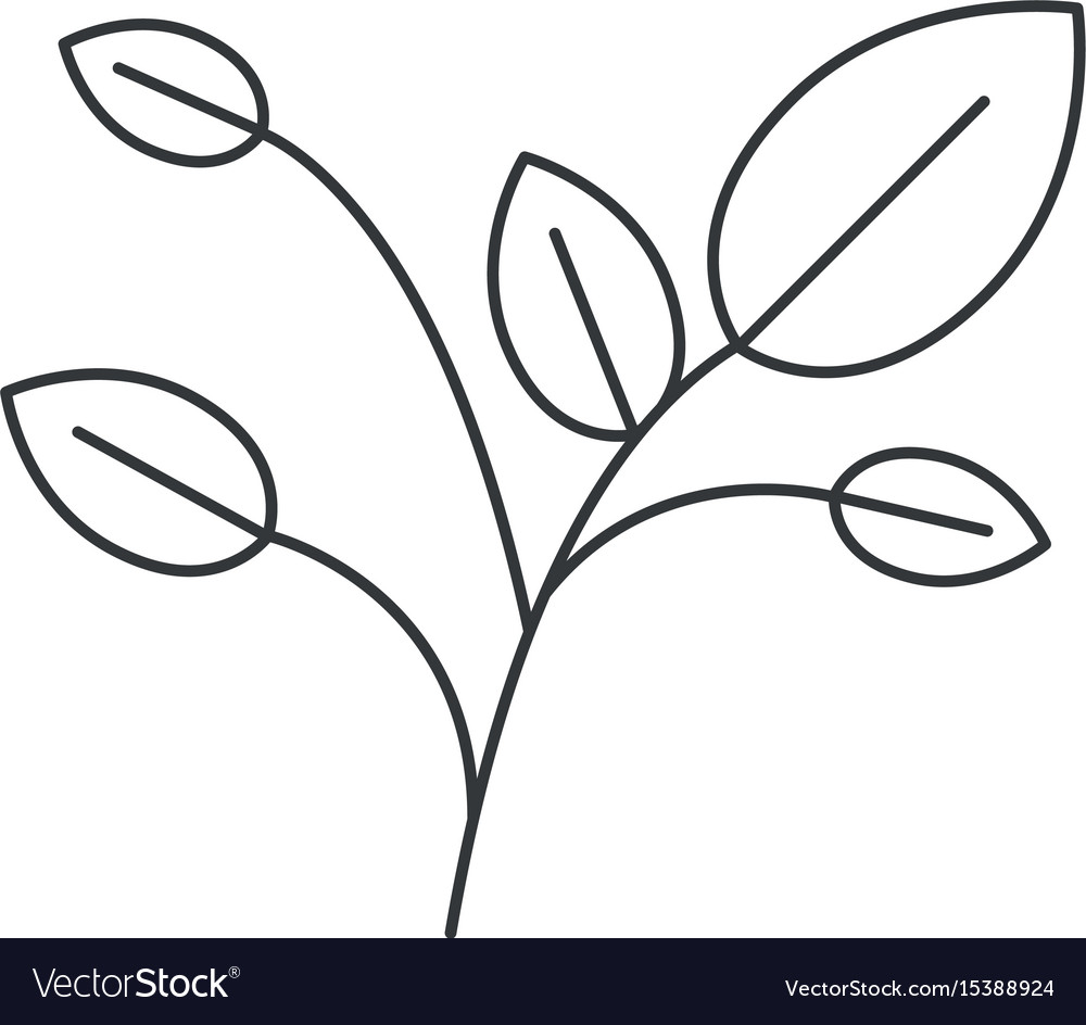 Monochrome silhouette of branches with leaves Vector Image