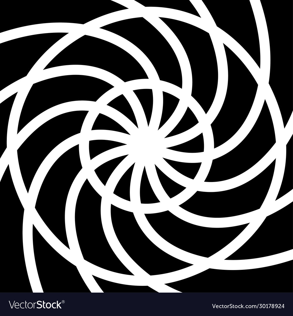 Round shapes swirl design template shell pattern vector image Round shapes swirl design template shell pattern