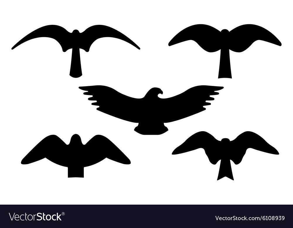 Birds silhouettes