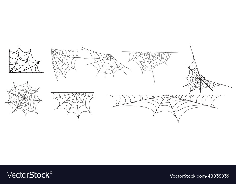 Spider web set