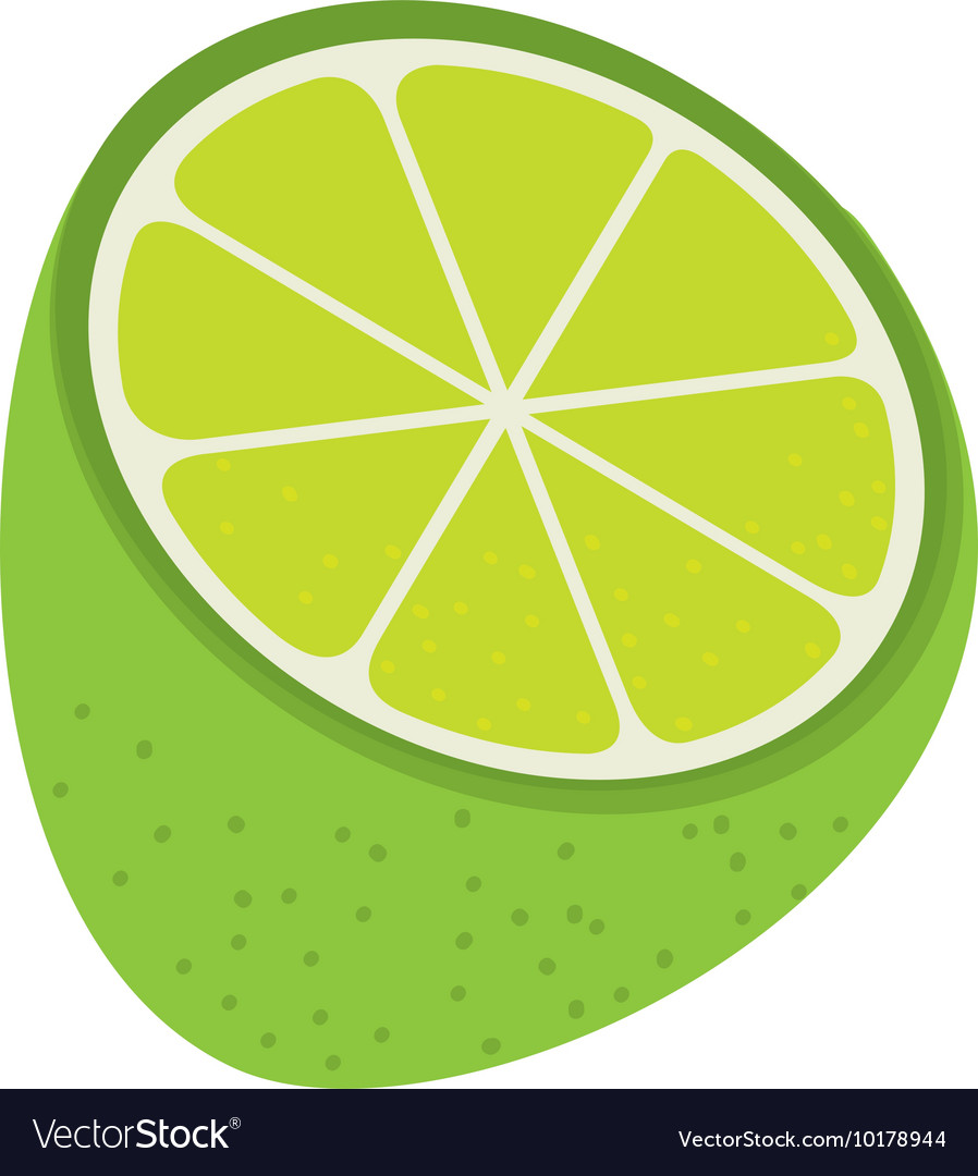 Delicious and fresh lemon fruit Royalty Free Vector Image