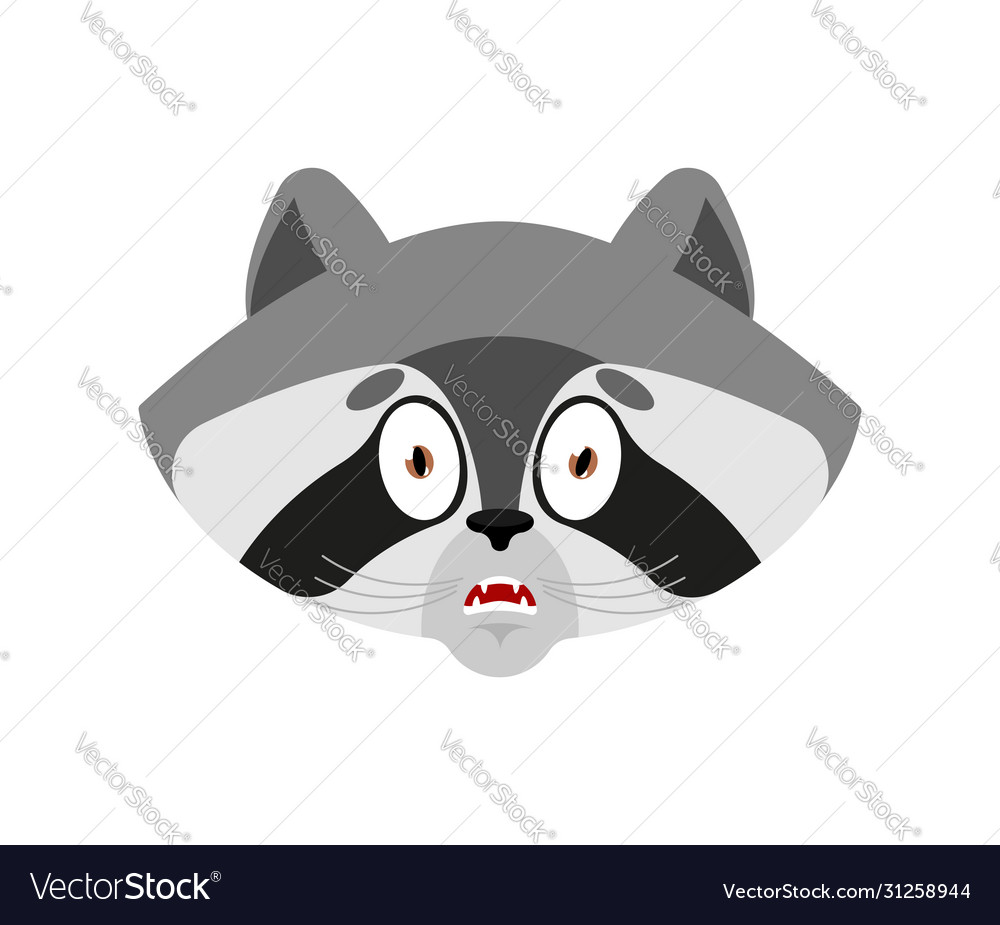 Raccoon scared omg emotion racoon oh my god emoji