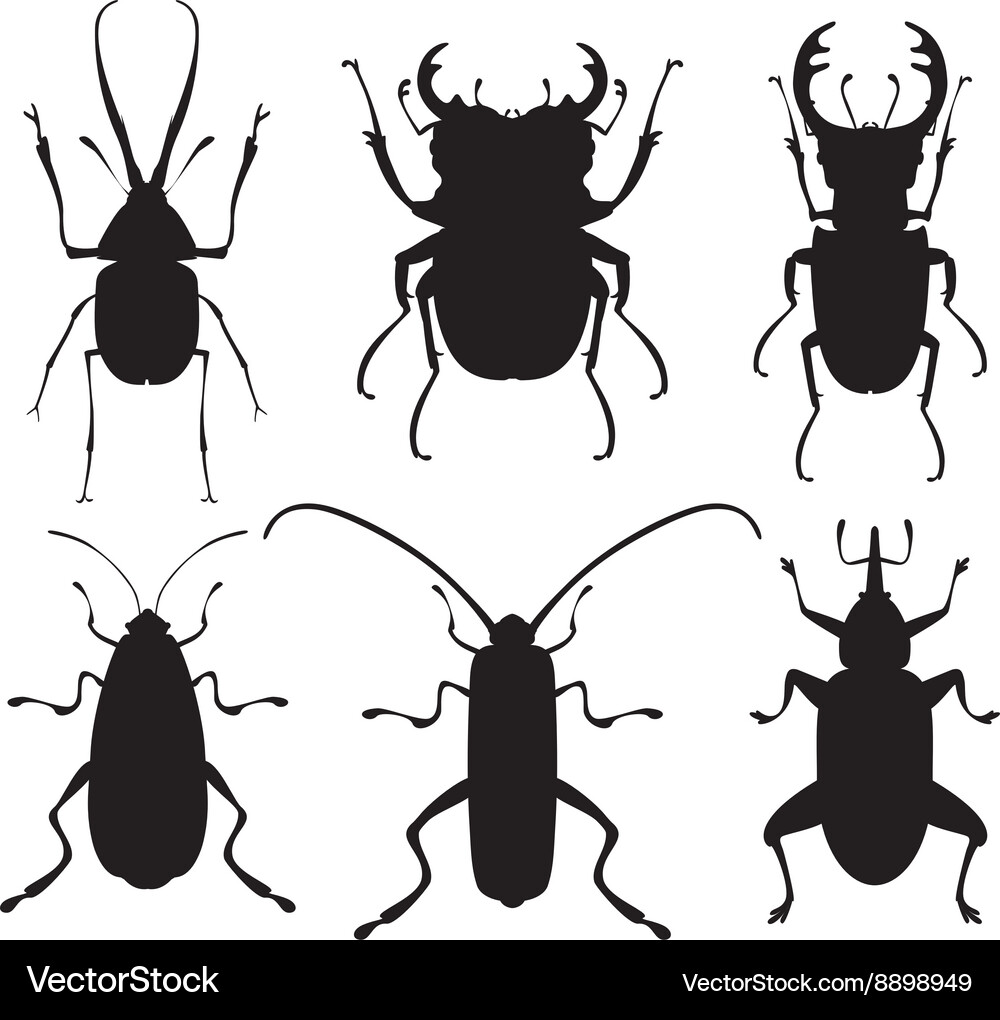 Bug icons insect set Royalty Free Vector Image