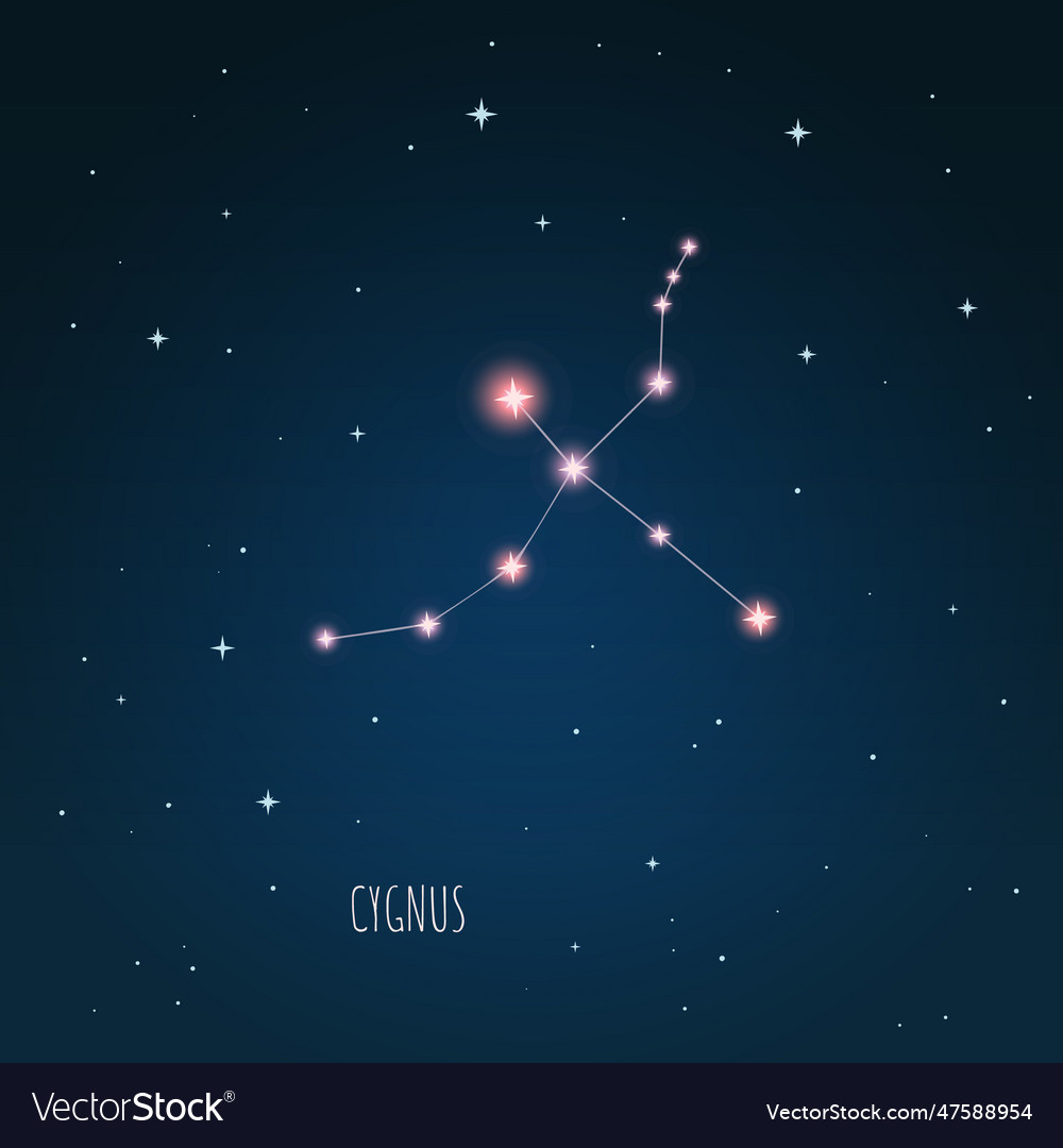 Constellation cygnus scheme in starry sky space Vector Image