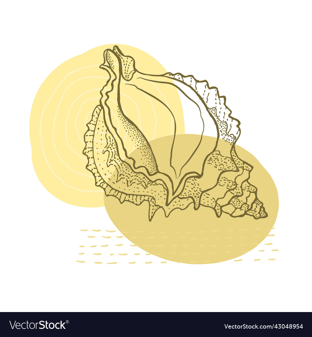 Hand-drawn seashell spiral with a texture of many vector image Hand-drawn seashell spiral with a texture of many
