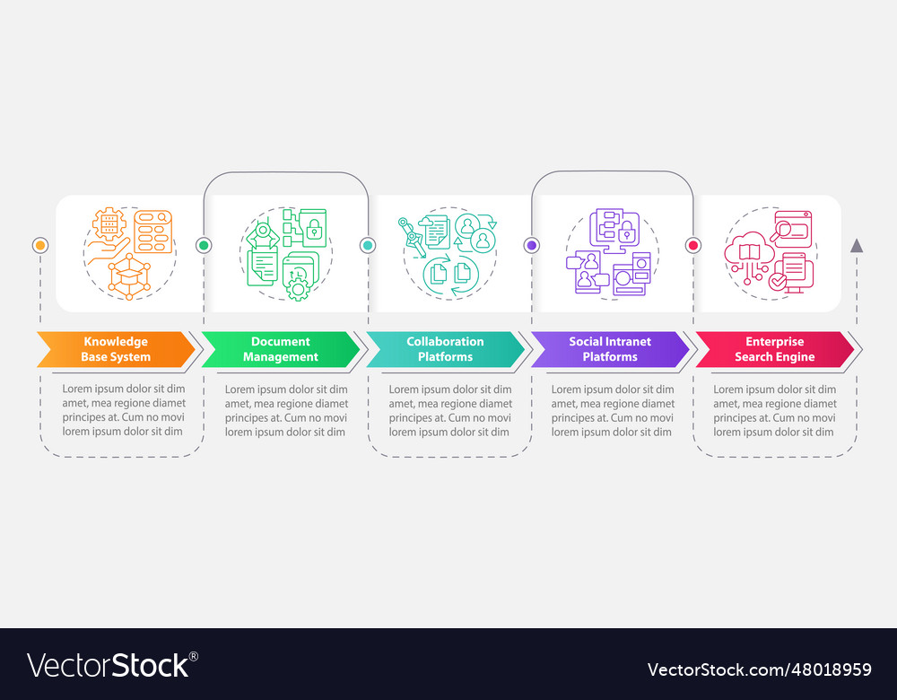 Multicolor knowledge management layout with line vector image Multicolor knowledge management layout with line