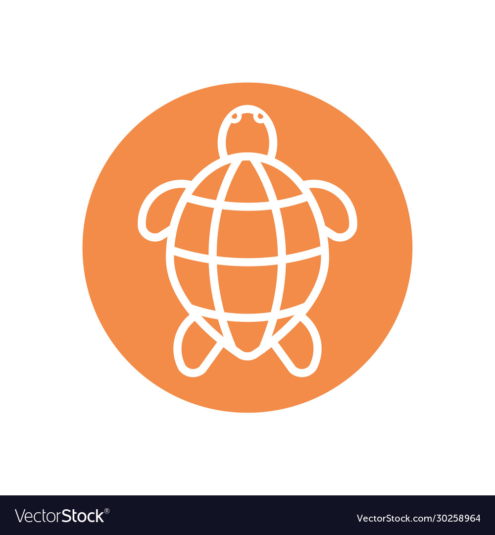 Isolated sea turtle line block style icon