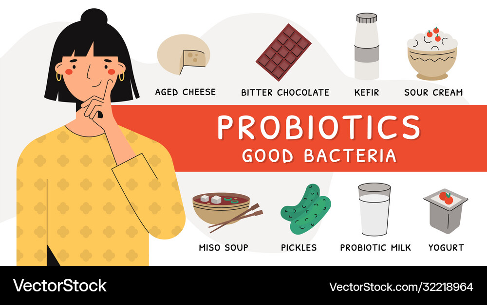 Probiotic Bacteria & Gut Health Royalty Free Vector