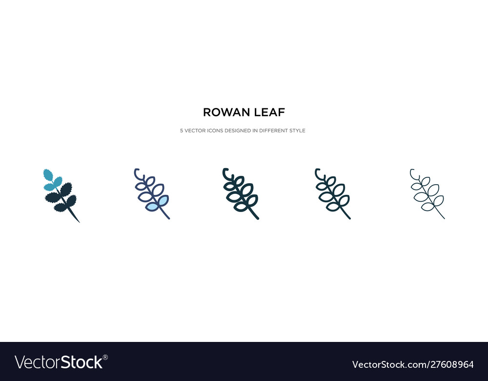 Rowan leaf icon in different style two colored