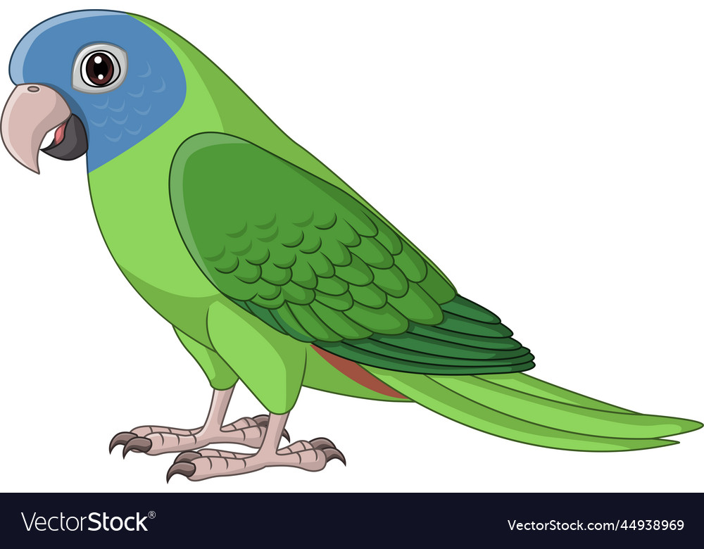 Cartoon blue crown conure parrot Royalty Free Vector Image