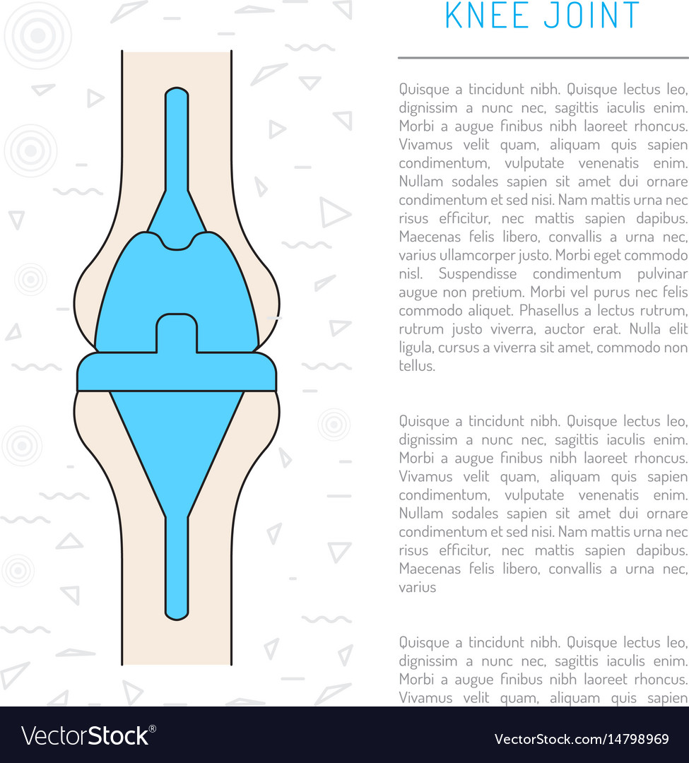 Medical knee joint