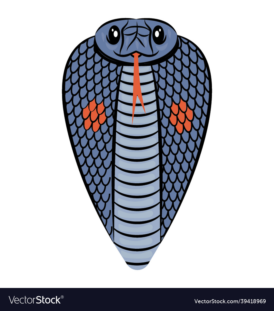 Snake head Royalty Free Vector Image - VectorStock