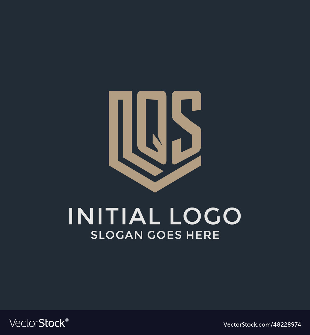 Initial qs logo shield guard shapes idea