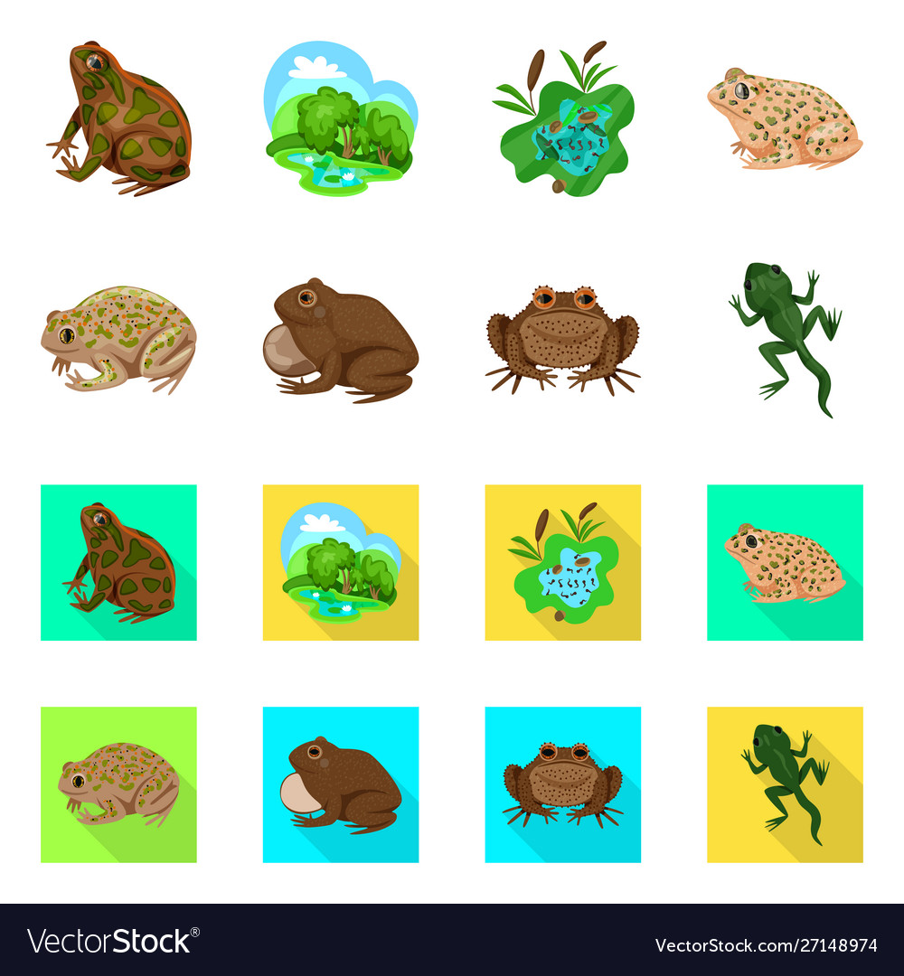 Isolated object wildlife and bog icon set Vector Image Isolated object wildlife and bog icon set