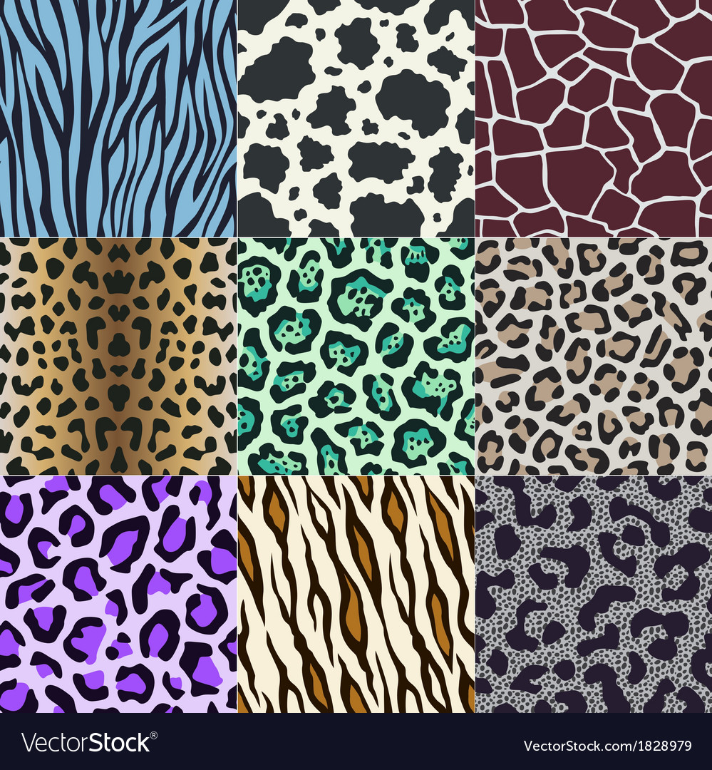 Animal Print Texture Collection