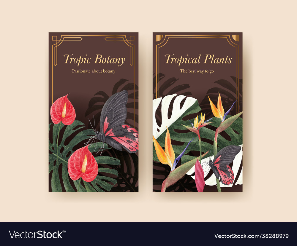 Instagram template with tropical botany concept