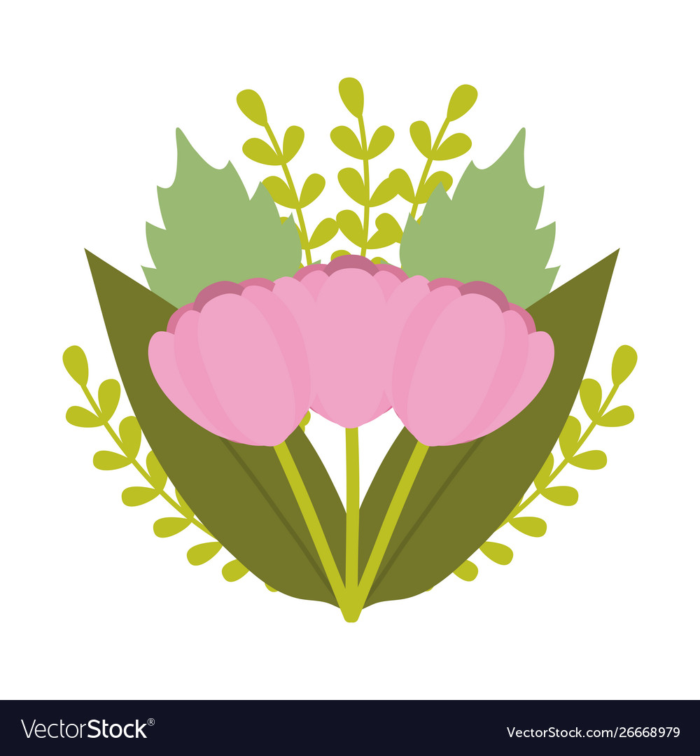 Roses flowers bouquet decorative icon Royalty Free Vector