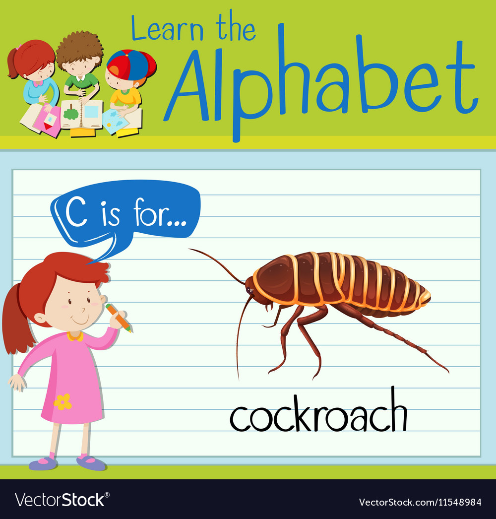 Flashcard alphabet c is for cockroach