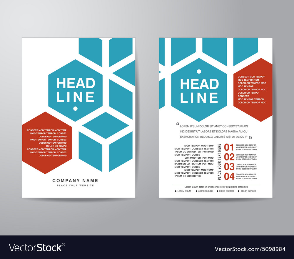 Hexagonal Brochure Flyer Design Layout Template Vector Image