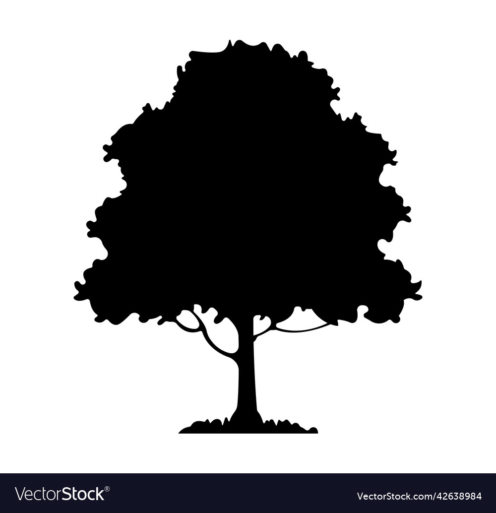 Sherwood Baum Silhouette