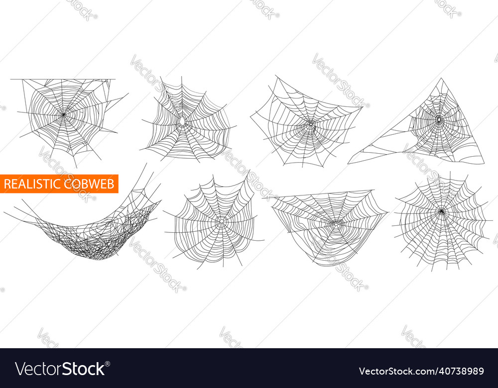 Cobweb realistic set vector image Cobweb realistic set