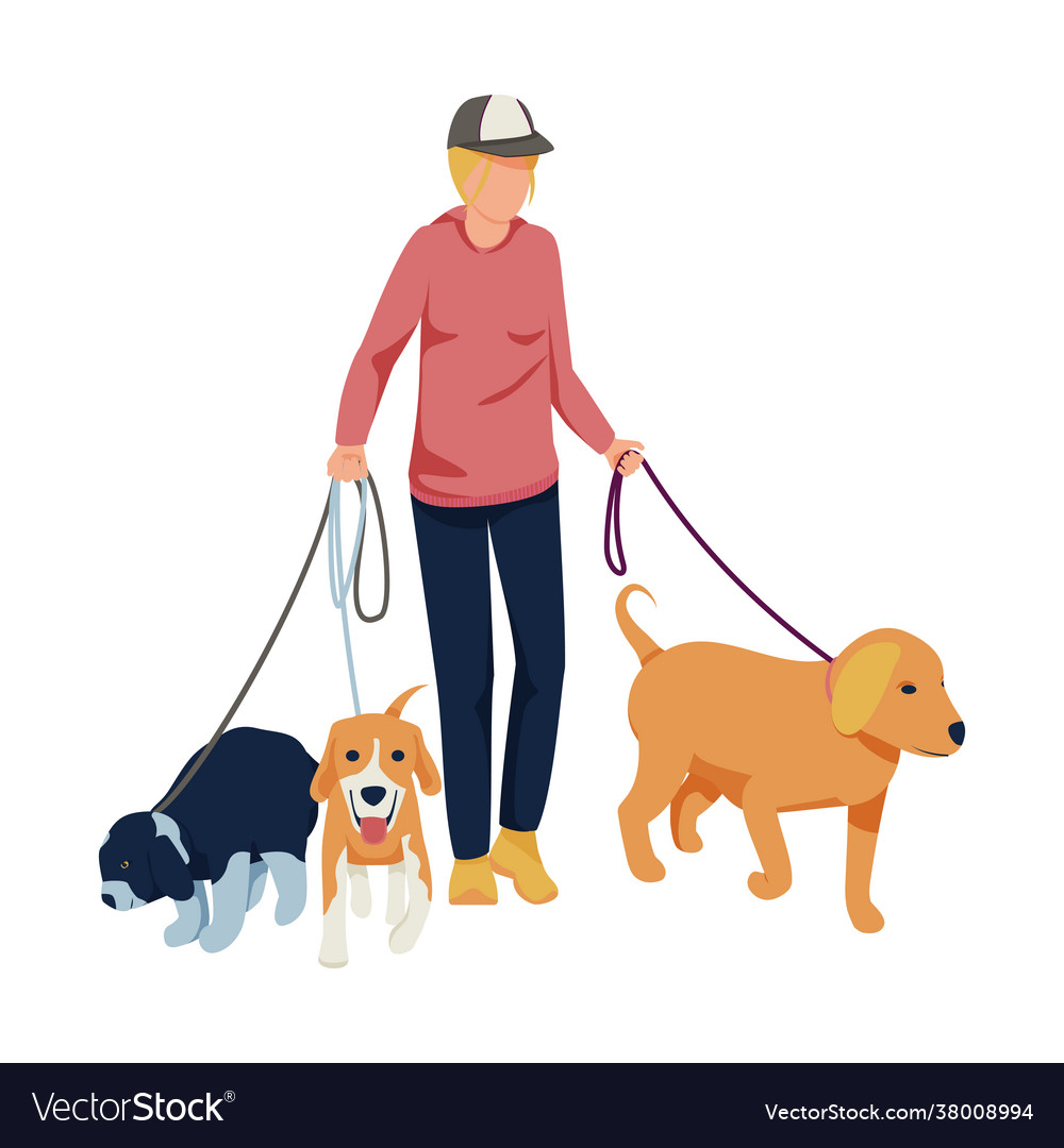 Walking dogs Royalty Free Vector Image - VectorStock