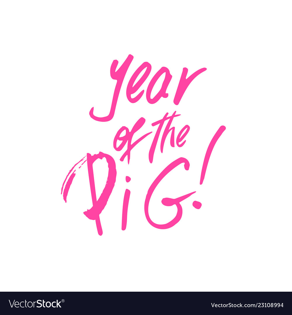 Year of the pig xmas brush lettering