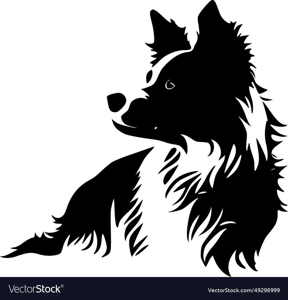 Border collie - minimalist and flat logo