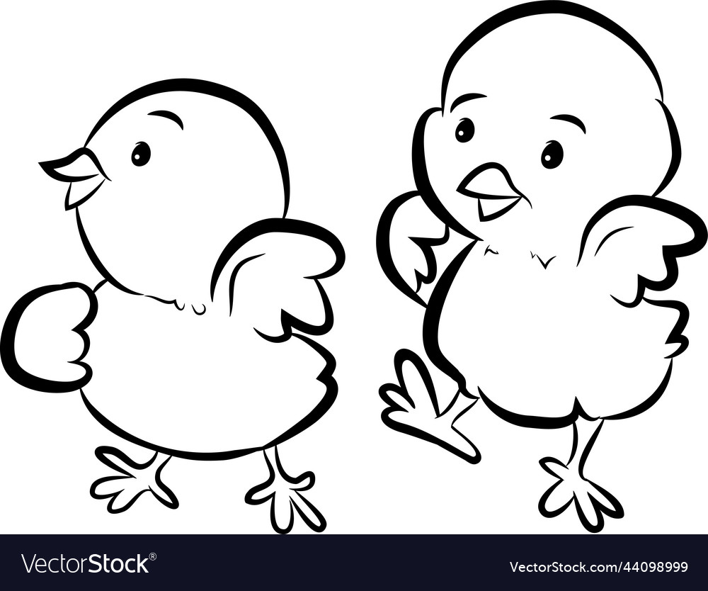 Cute Black and White Cartoon Chicks