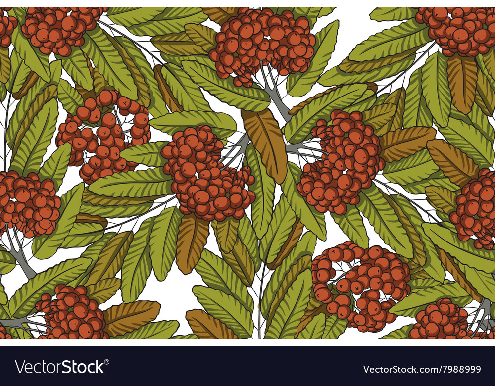 Rowan seamless pattern