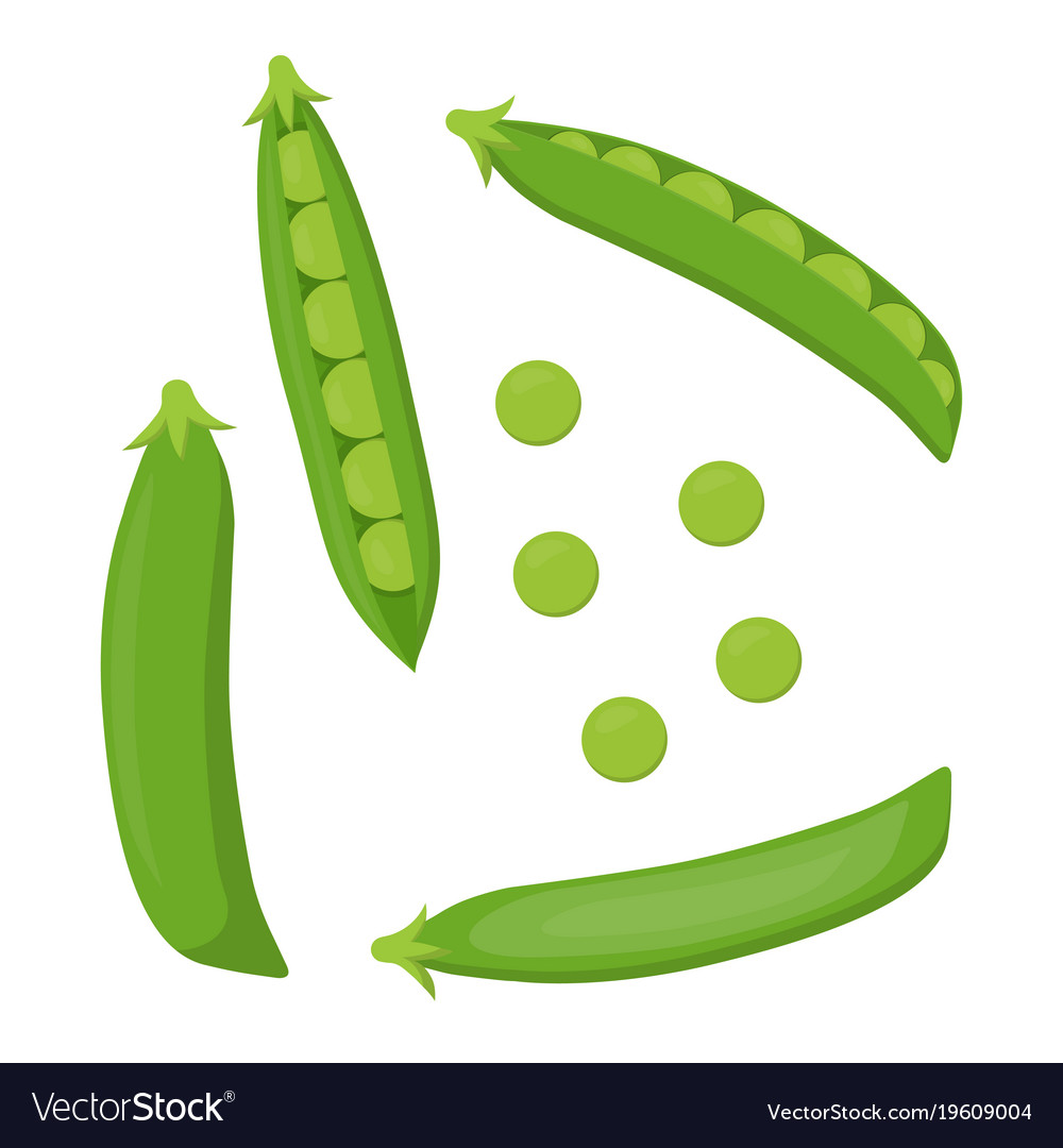 Set with green peas Royalty Free Vector Image - VectorStock