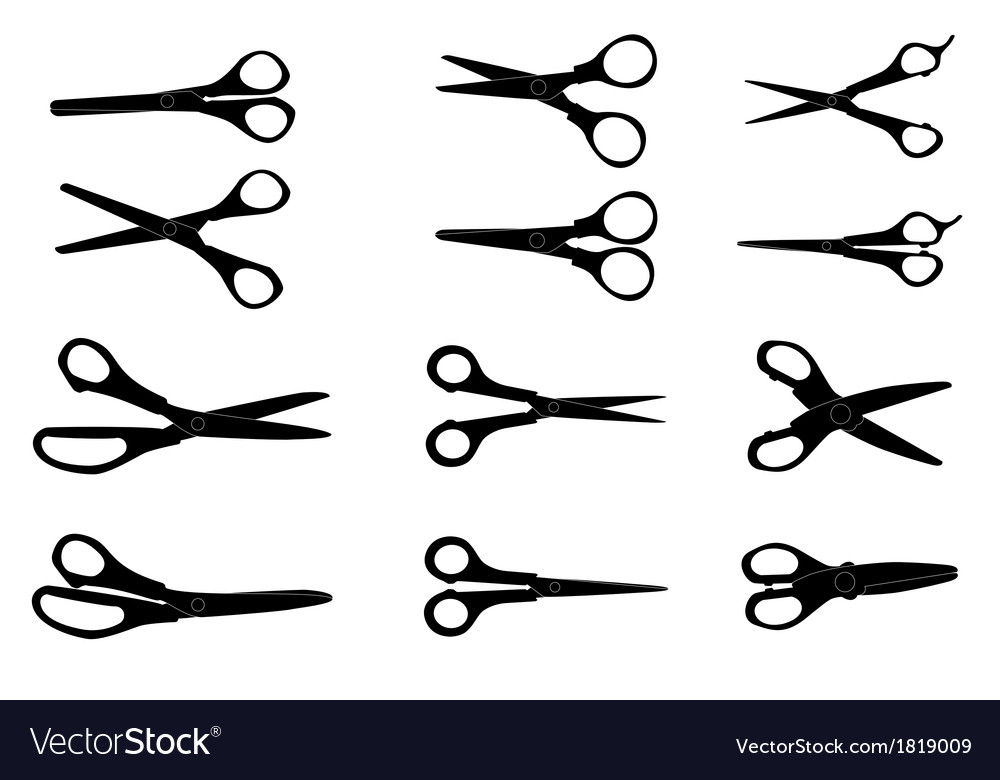 Cutting Scissors Set