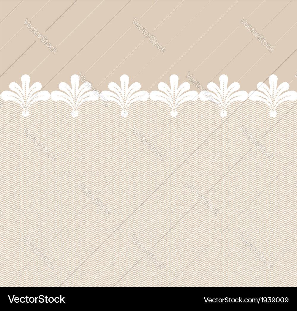 Seamless lacy border Royalty Free Vector Image