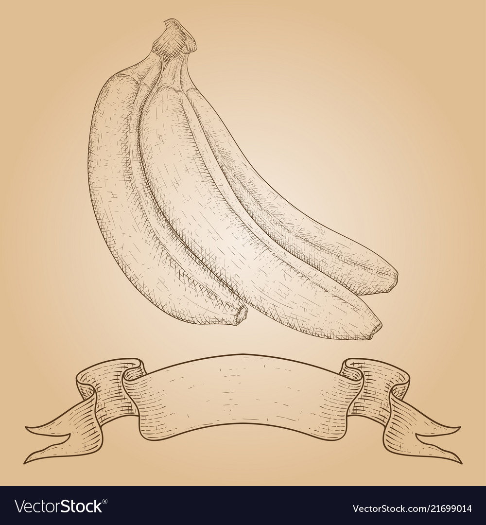 Banana hand drawn sketch on beige background