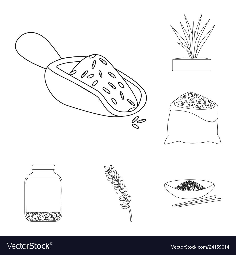 Design of diet and cooking icon collection