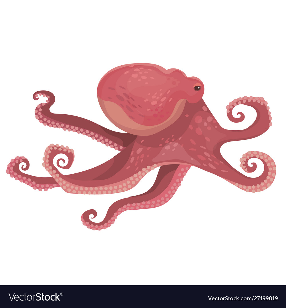 Big octopus swim isolated Royalty Free Vector Image