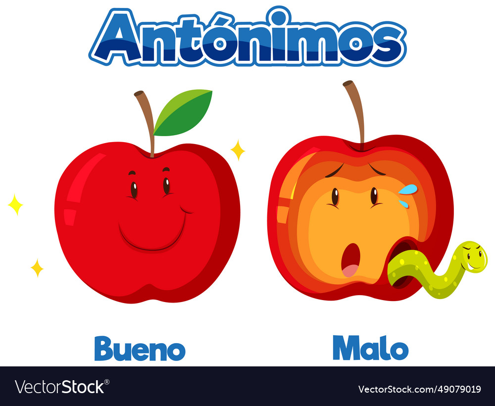 Educational antonyms spanish picture word card