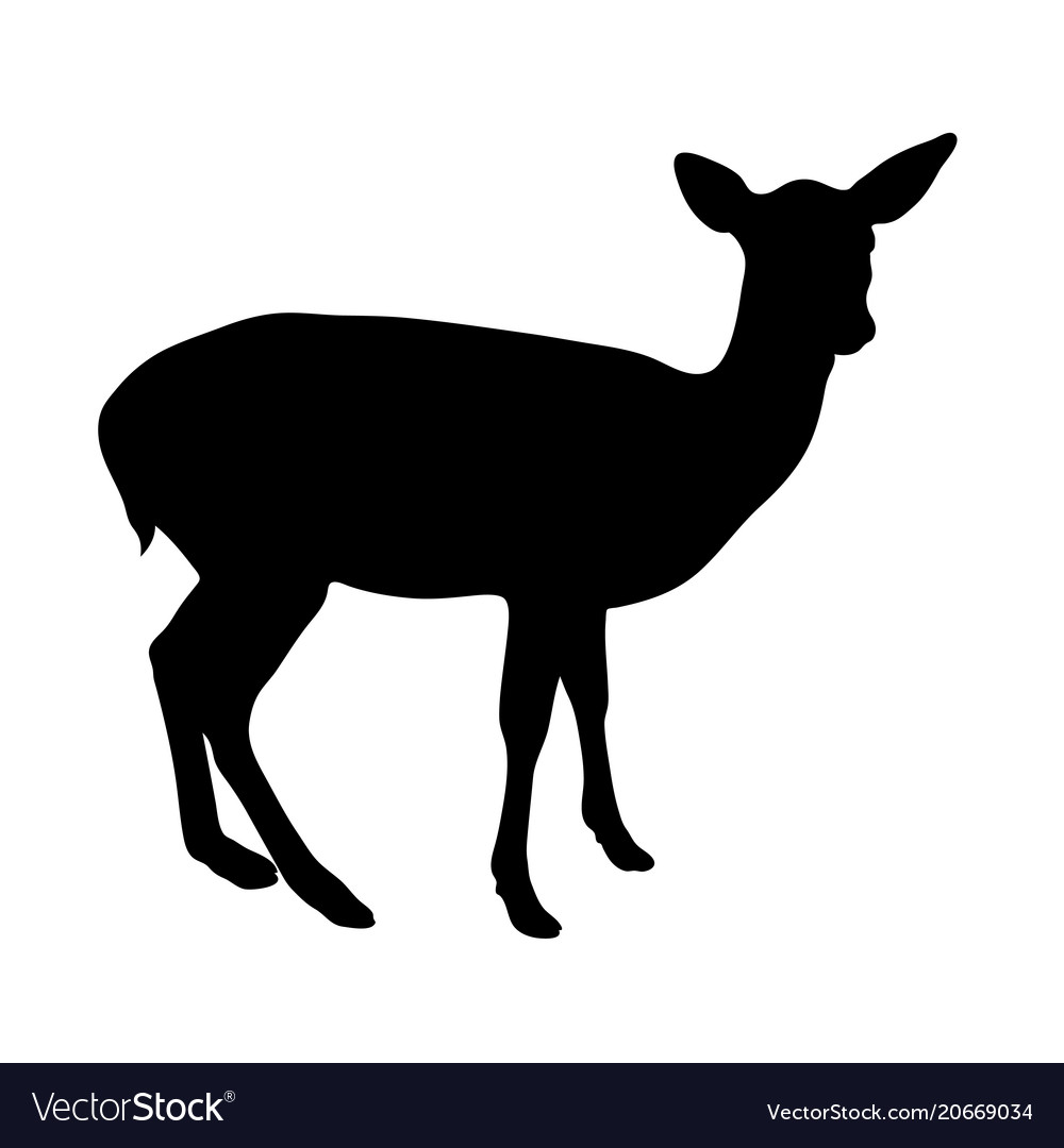 Schwarze Silhouette von Fawn auf weißem Hintergrund