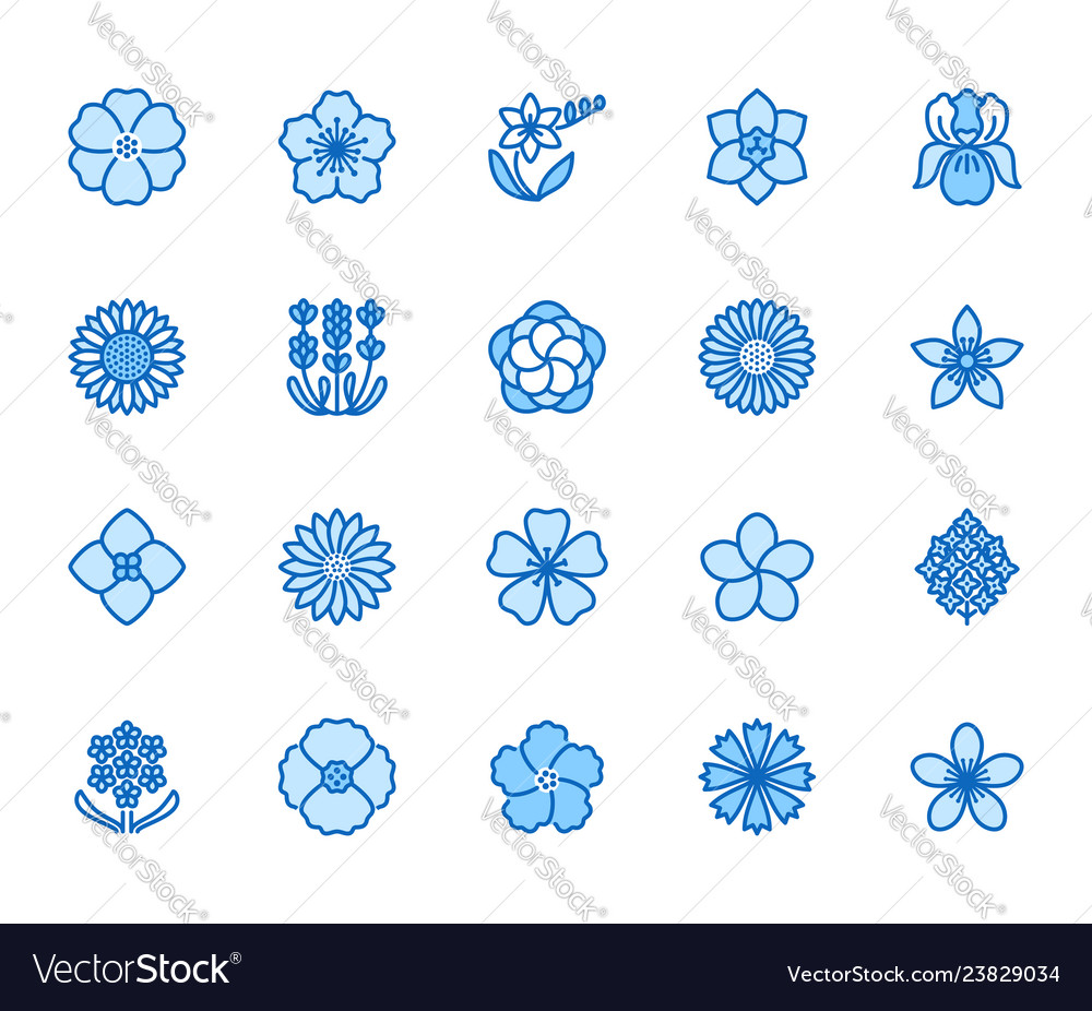 Flowers flat line icons beautiful garden plants