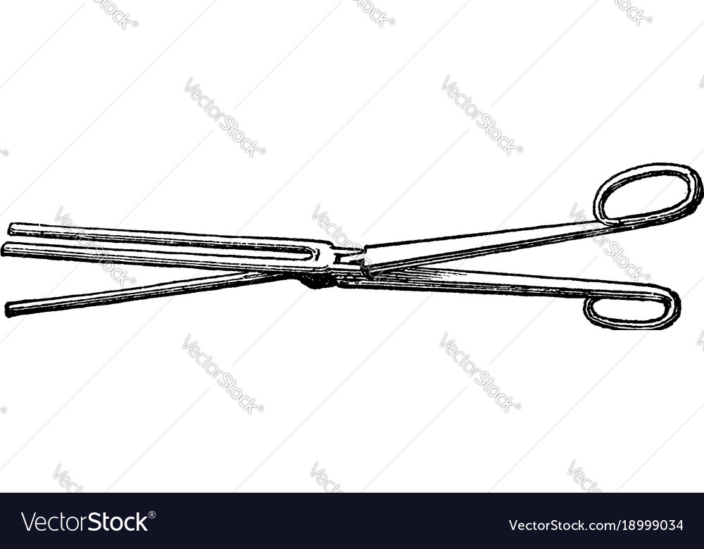 Fluting scissors shaped implement for