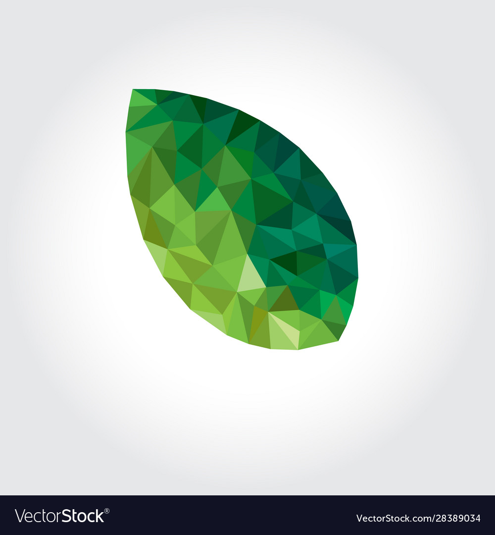 Geometric polygonal leaf