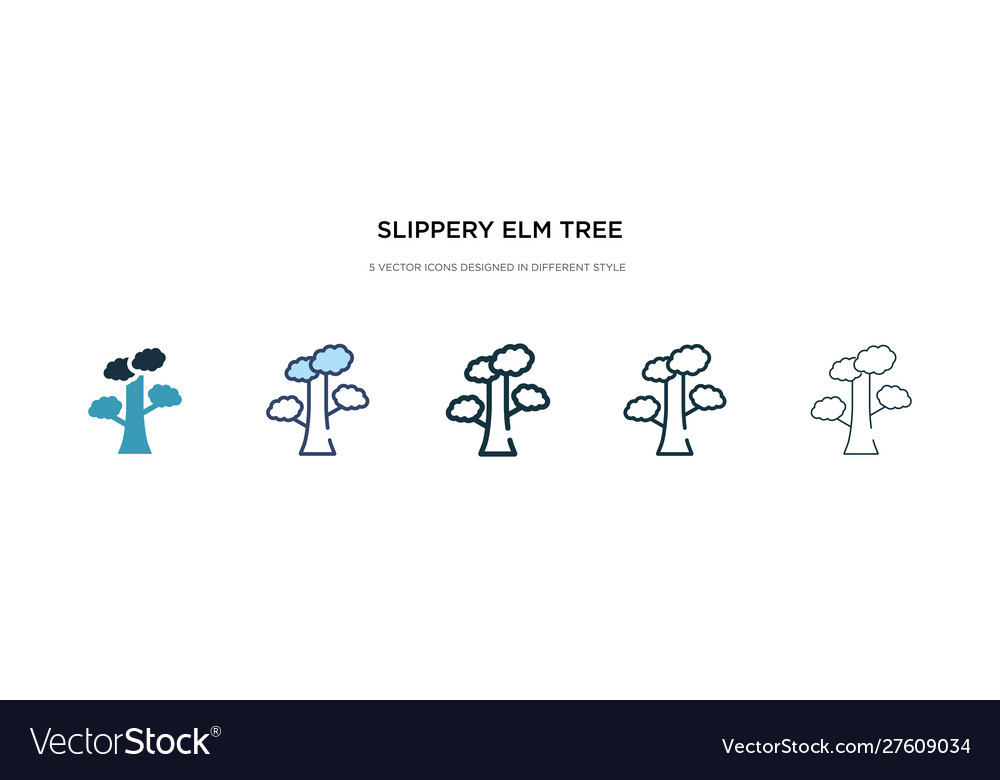 Slippery elm tree icon in different style two vector image Slippery elm tree icon in different style two