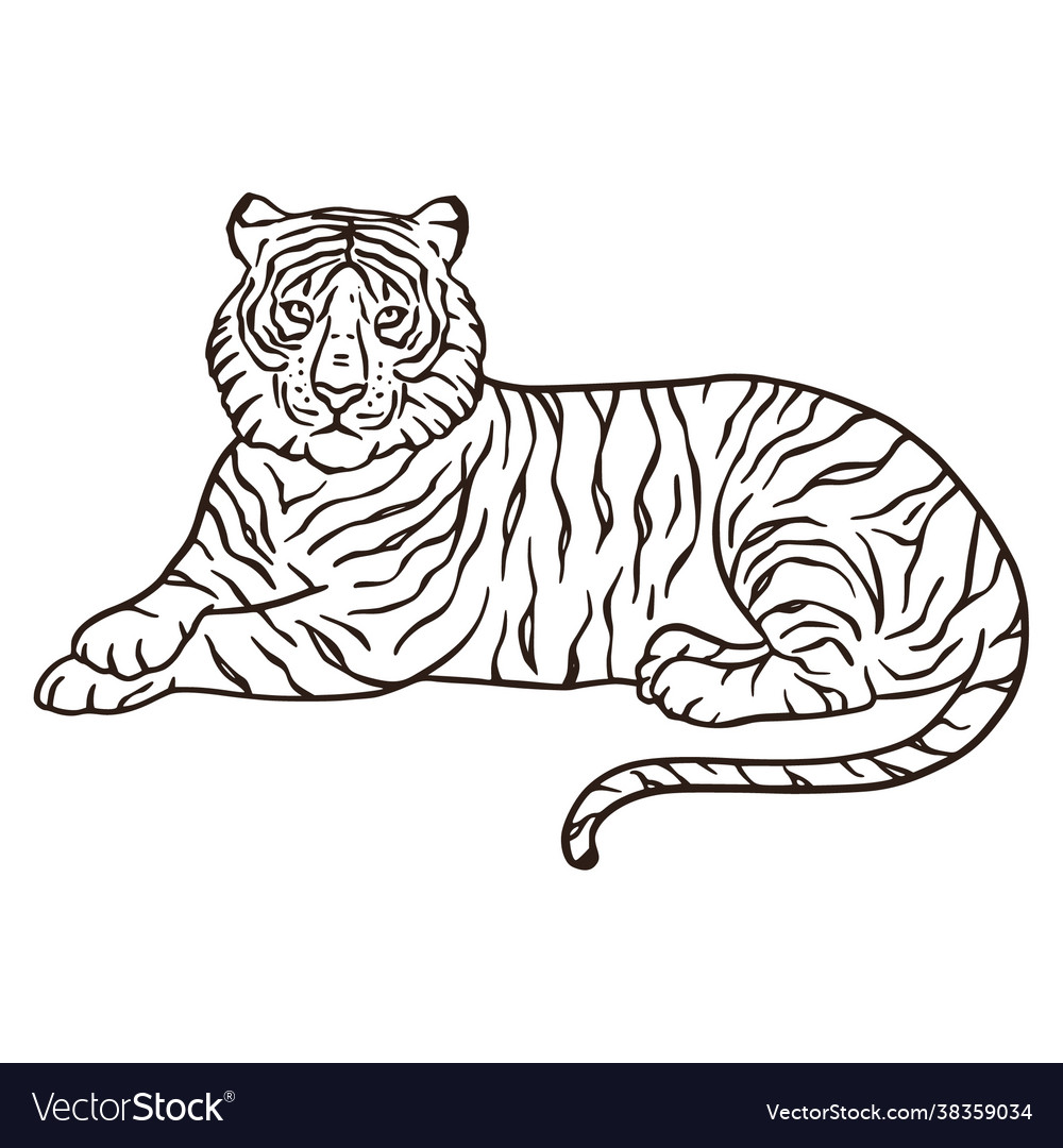 Bengal Tiger Line