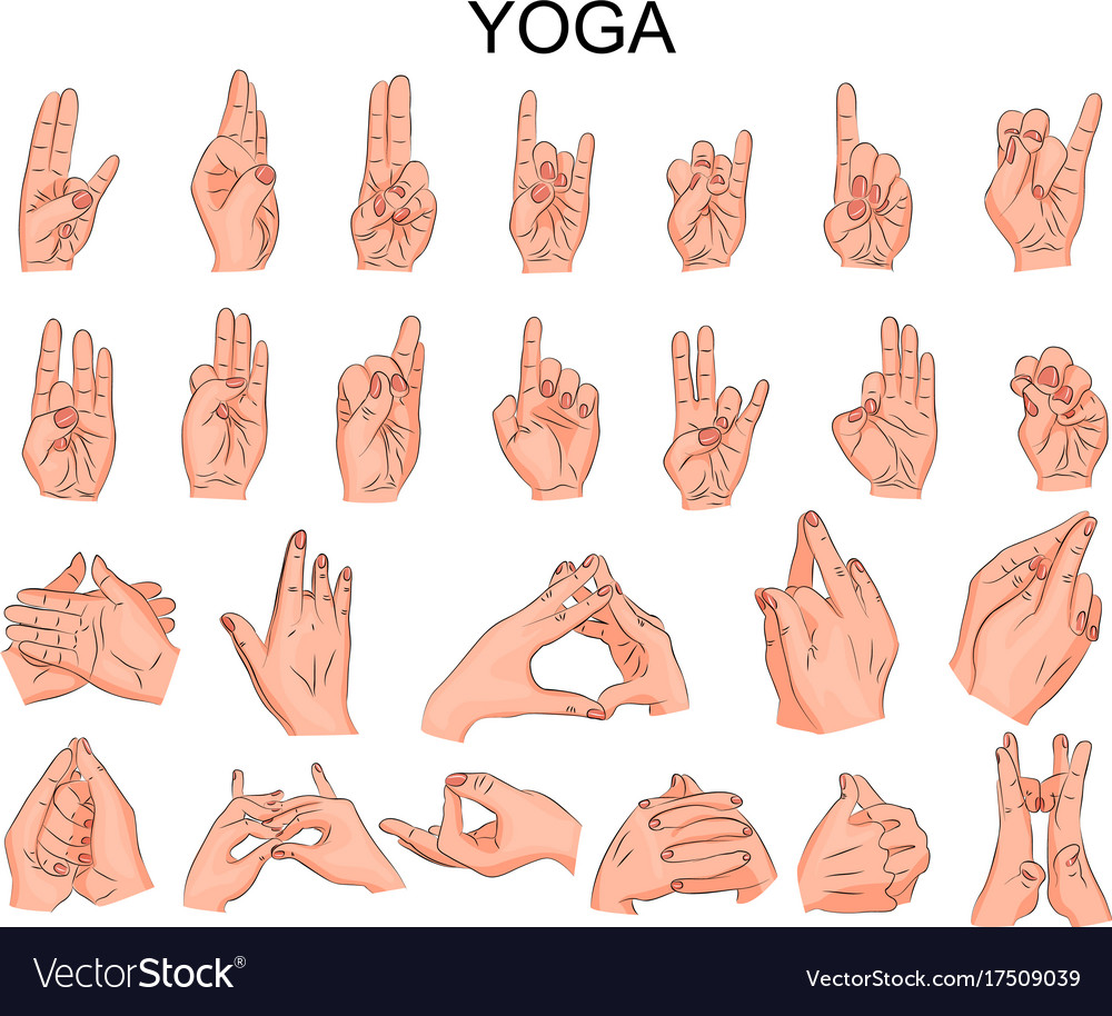 Yoga Hand Positions Yoga Hand Positions