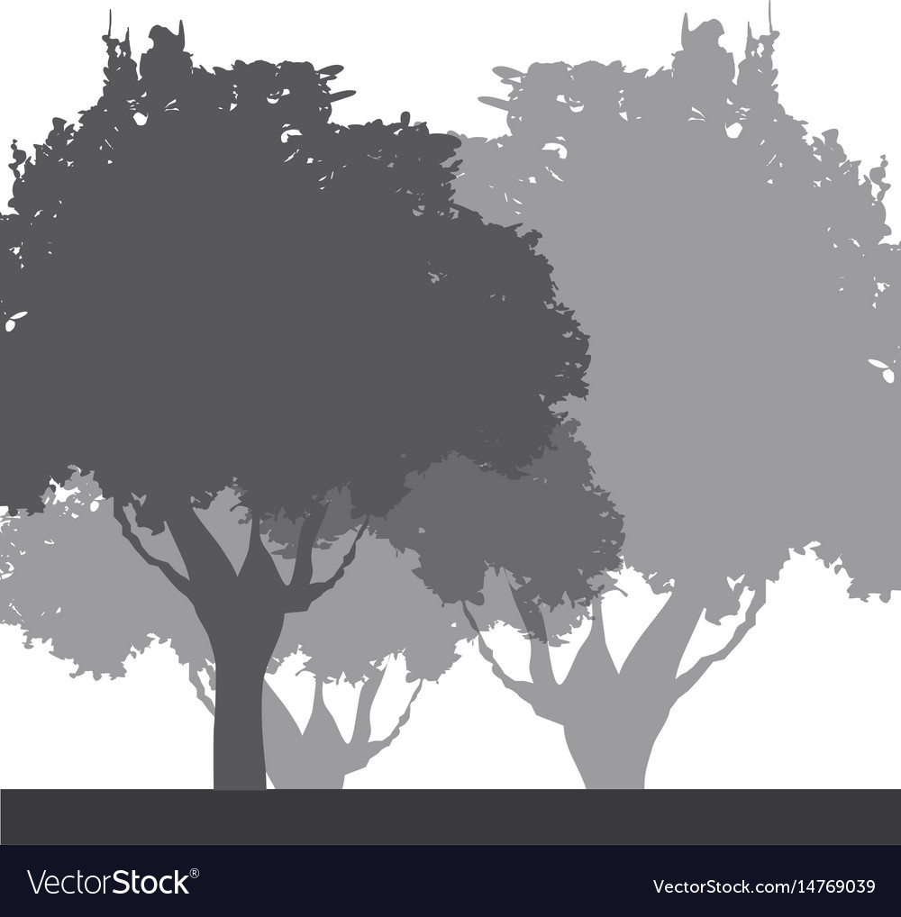 Tree foliage trunk branch image
