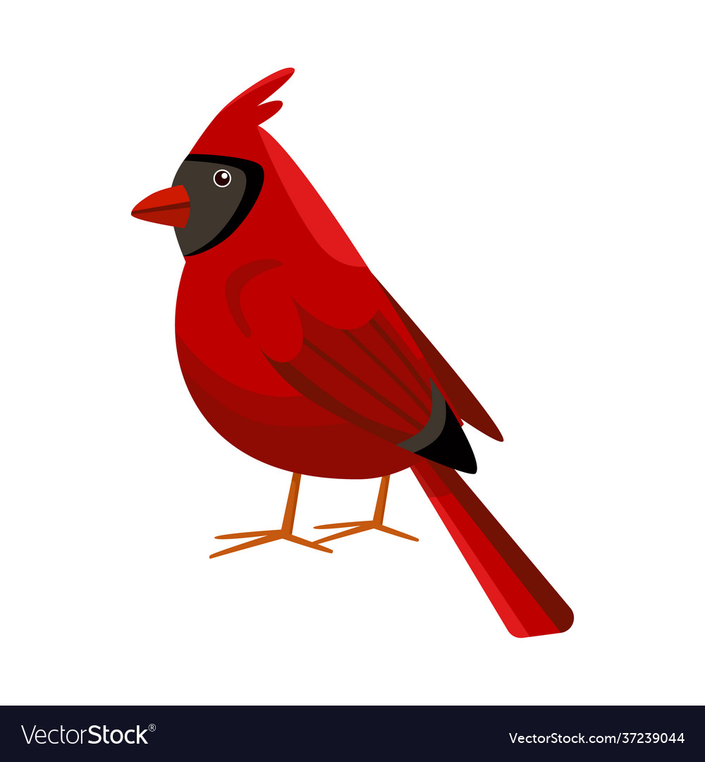 Design cardinal and red sign collection