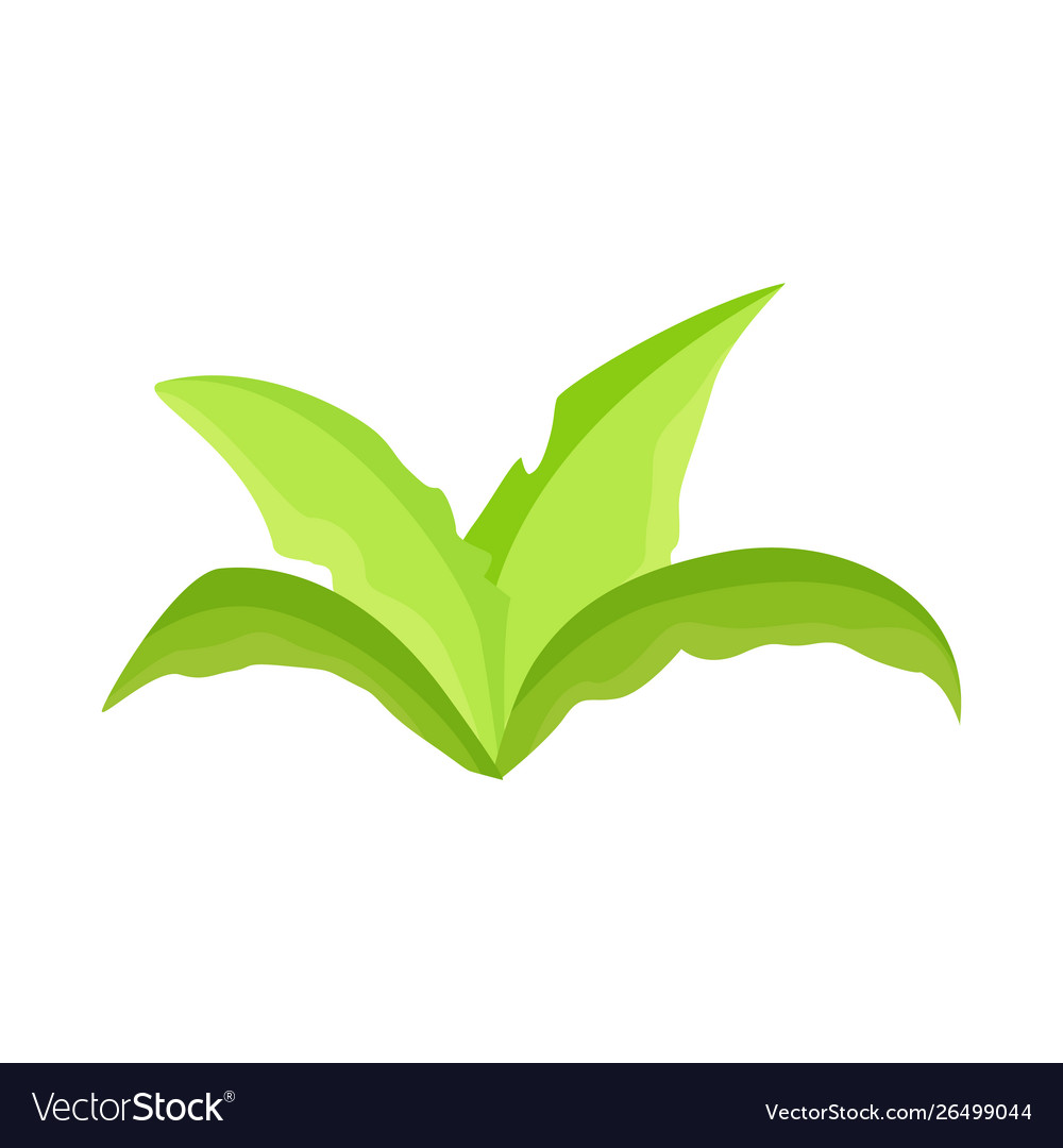 Design shrubbery and field icon set